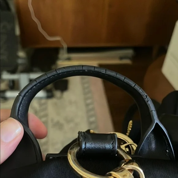 Caraa Black Backpack with Gold Accents - Picture 15 of 16